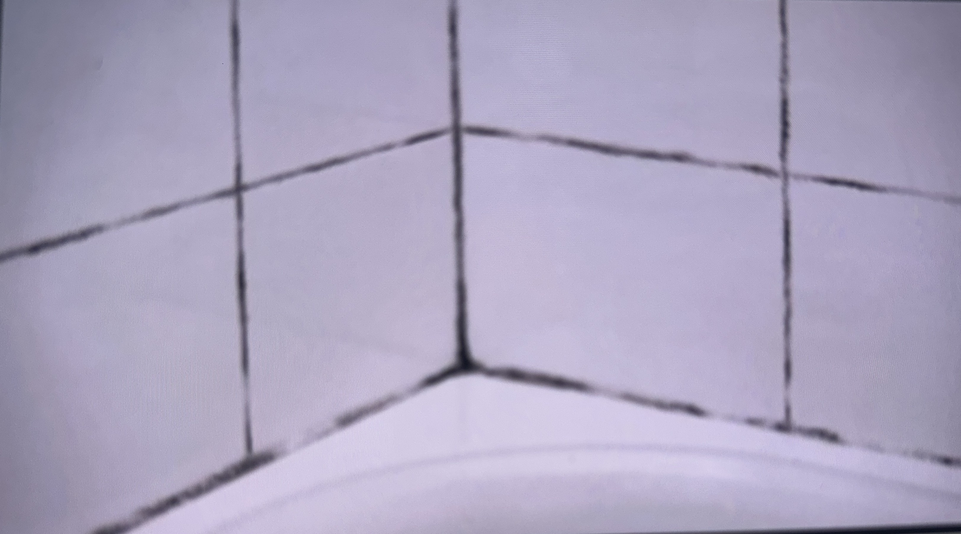 Close-up of tile grout lines that have darkened and mildewed where the wall meets the tub edge