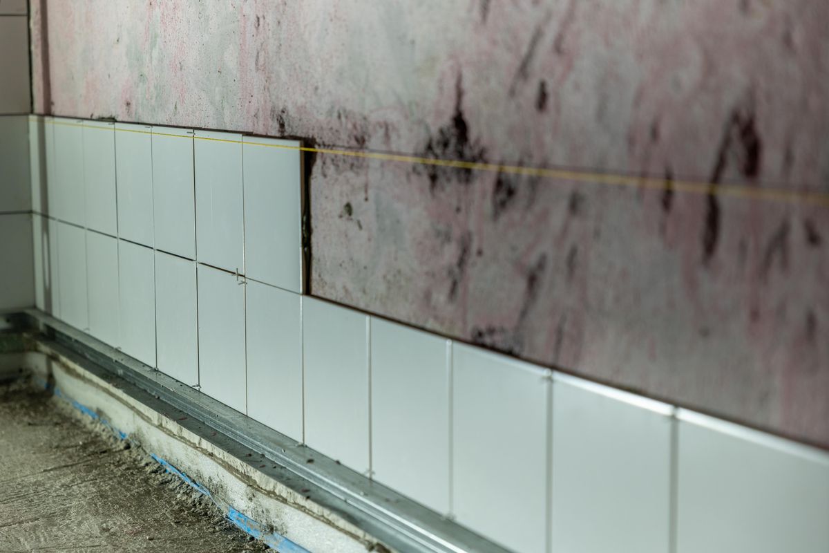 Tile removed from a bathroom wall, revealing dark mold and water staining on the substrate behind it